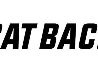 Cat back